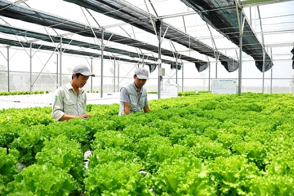 Ngành nông nghiệp ở Nhật Bản