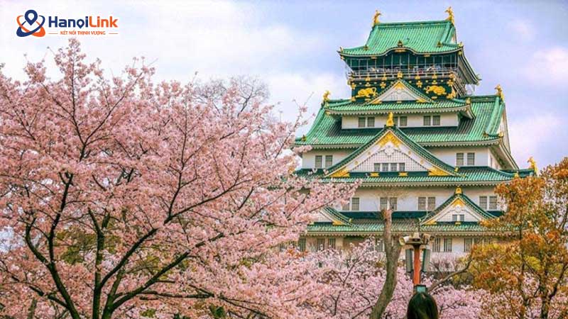 Mùa Sakura tại Nhật Bản