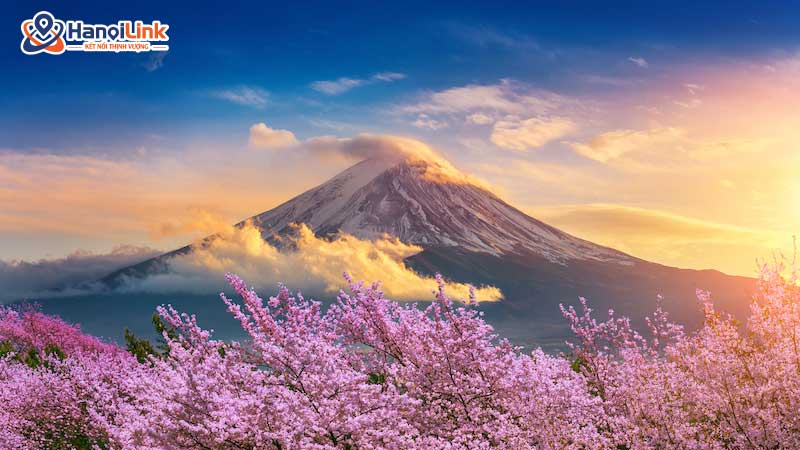 núi Phú Sĩ - Vẻ Đẹp Hùng Vĩ và Thơ Mộng
