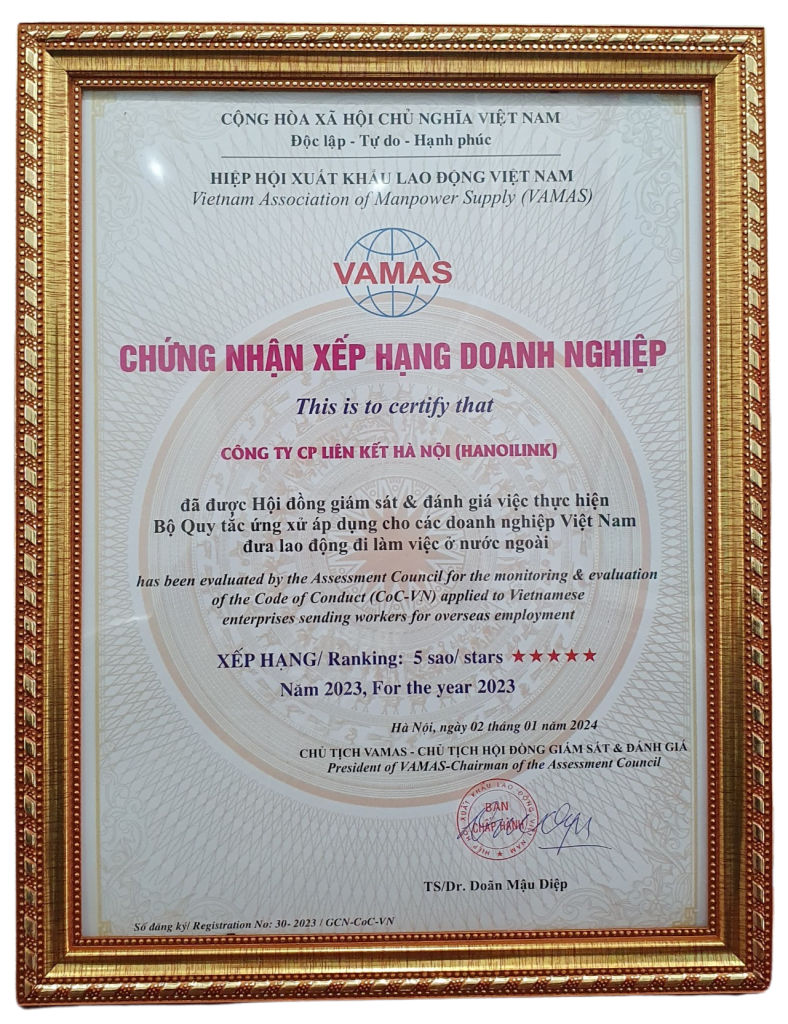 Hanoilink Tự Hào Nhận Chứng Nhận 5 Sao từ VAMAS 2023