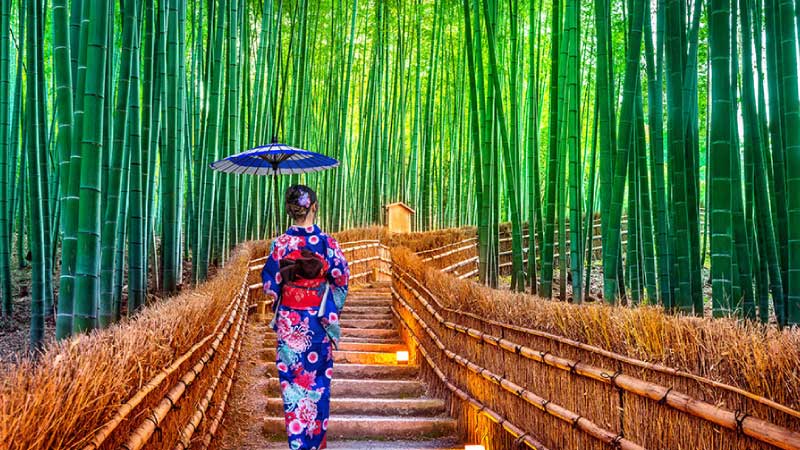 Arashiyama và Khu Rừng Tre tại Kyoto