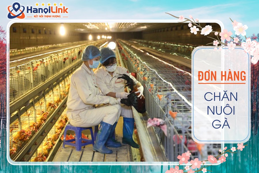 các đơn hàng xuất khẩu Nhật Bản cho nữ