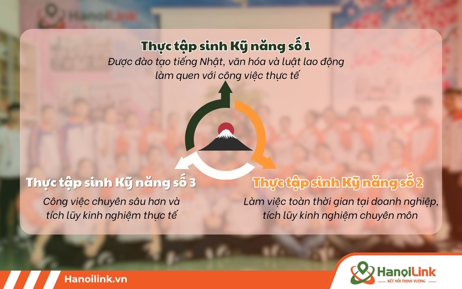 Có mấy chương trình thực tập sinh Nhật Bản? Câu trả lời là 3