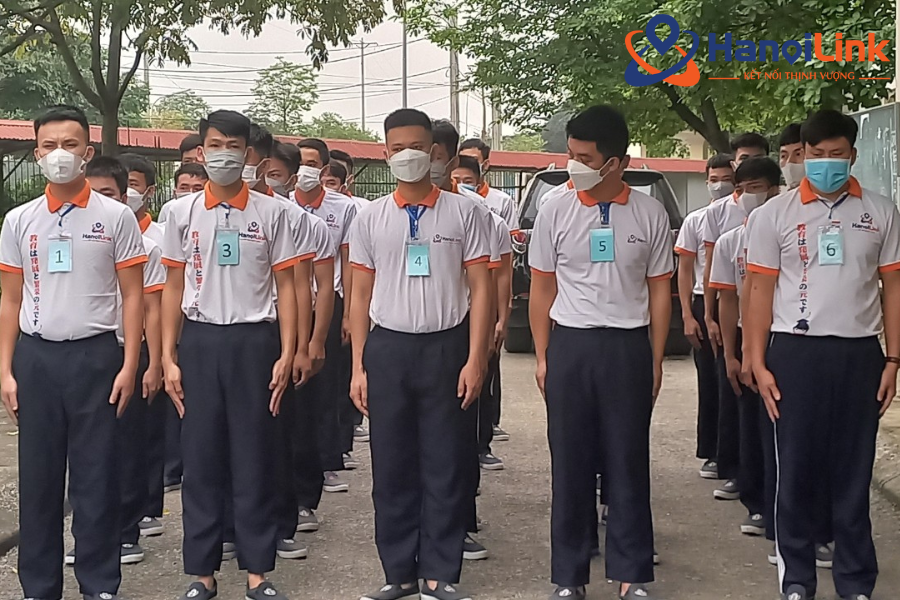 Đi xuất khẩu Nhật Bản