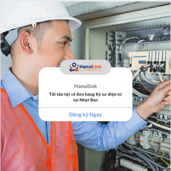 Đơn hàng điện tử đi Nhật