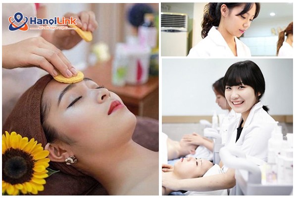 Du học Đức ngành gì