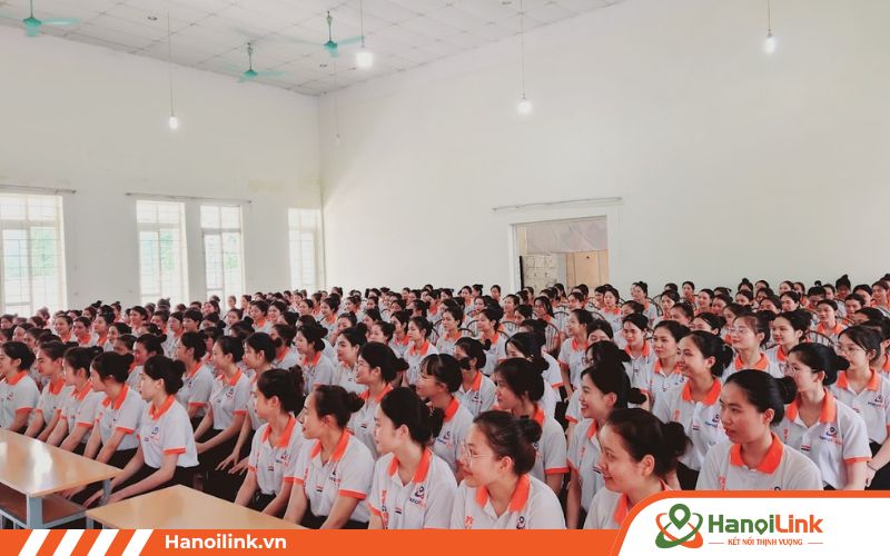 Học viên Hanoilink