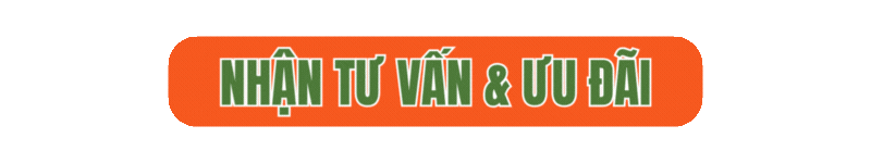 Nhận tư vấn & ưu đãi về chương trình phái cử tại HanoiLink