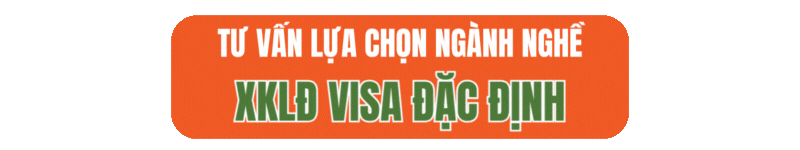 Liên hệ HanoiLink tư vấn lựa chọn ngành nghề visa đặc định