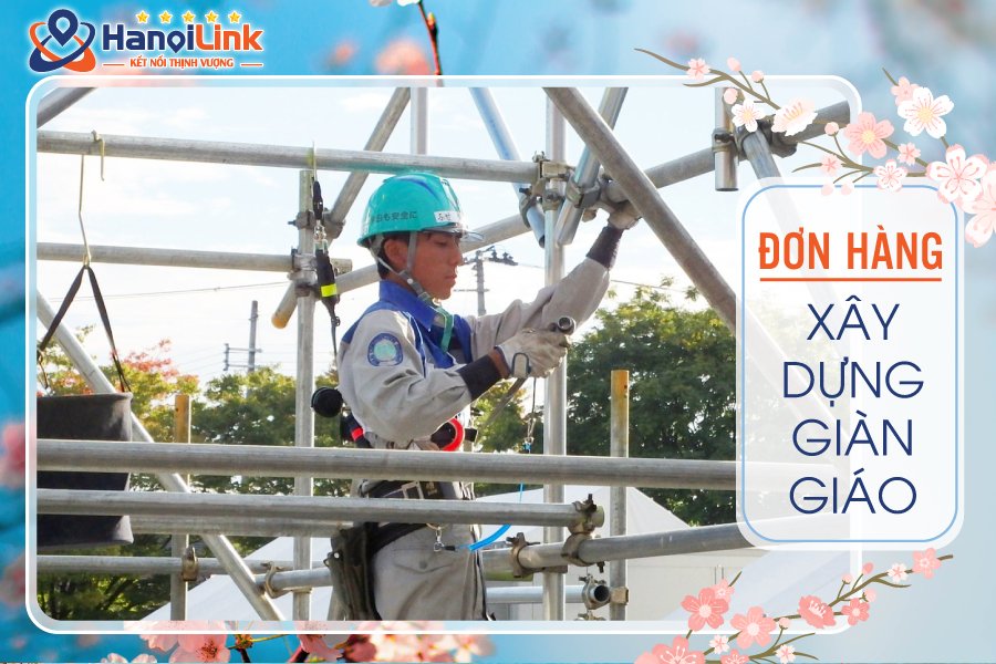 đơn giàn giáo Nhật Bản