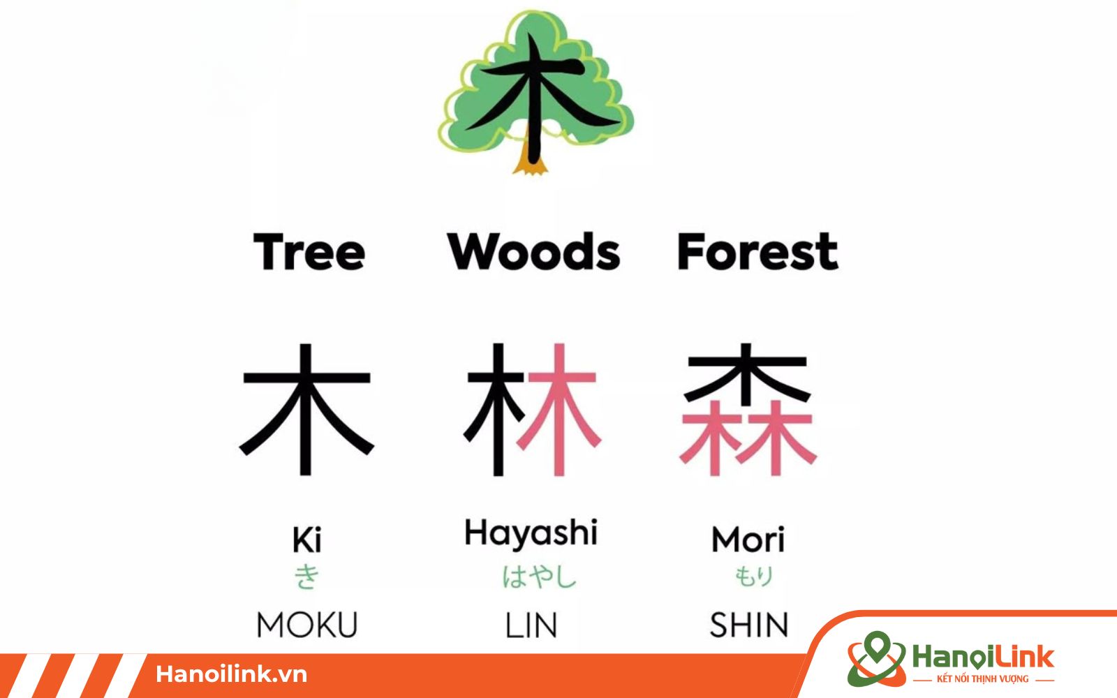 Học tiếng Nhật thông qua hình ảnh, câu chuyện