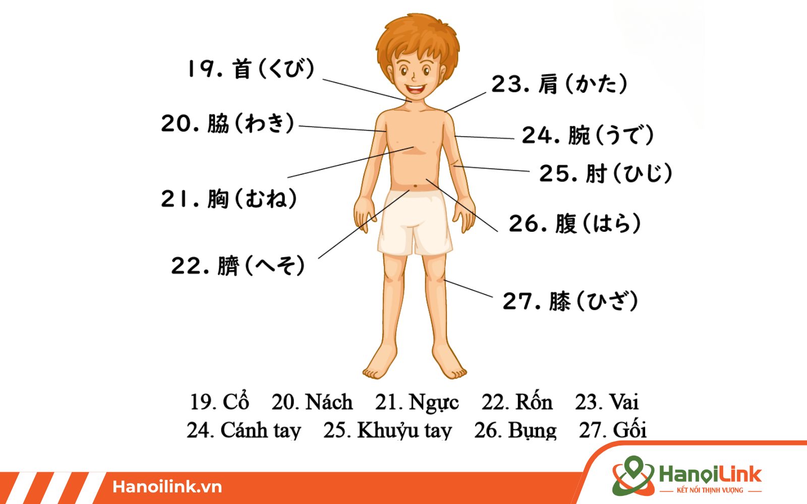Từ vựng n4 có ví dụ về các bộ phận cơ thể