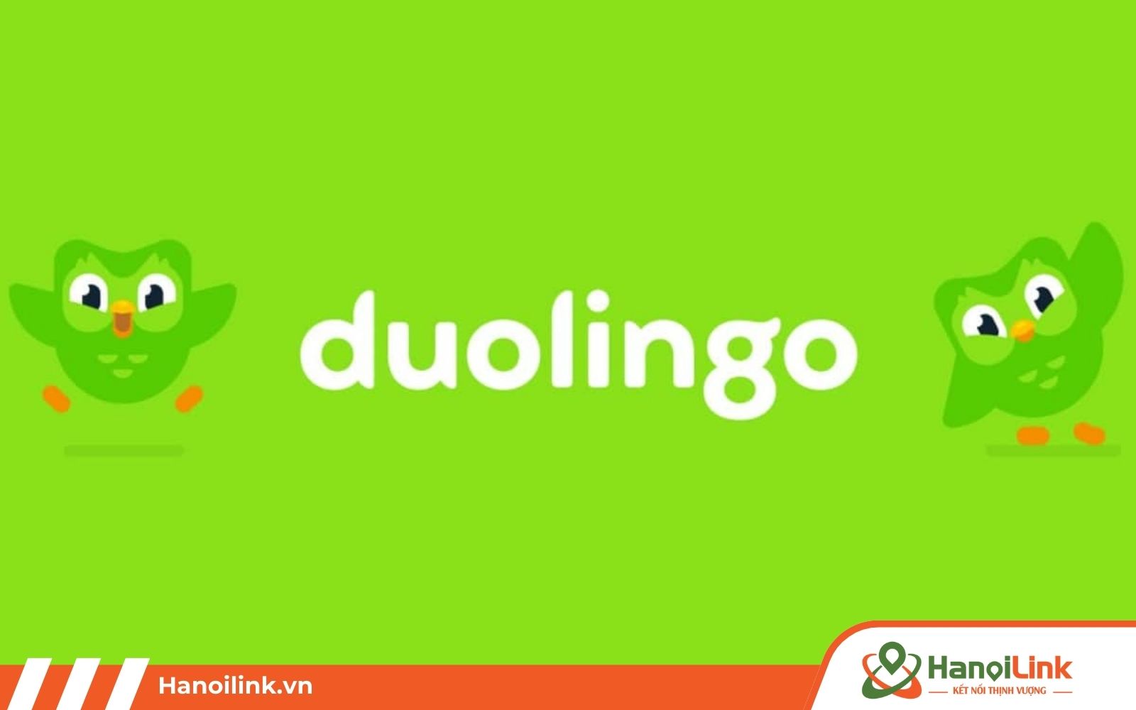 Tổng quan về app học tiếng Nhật Duolingo