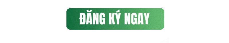 Đăng ký tư vấn ngay tại HanoiLink