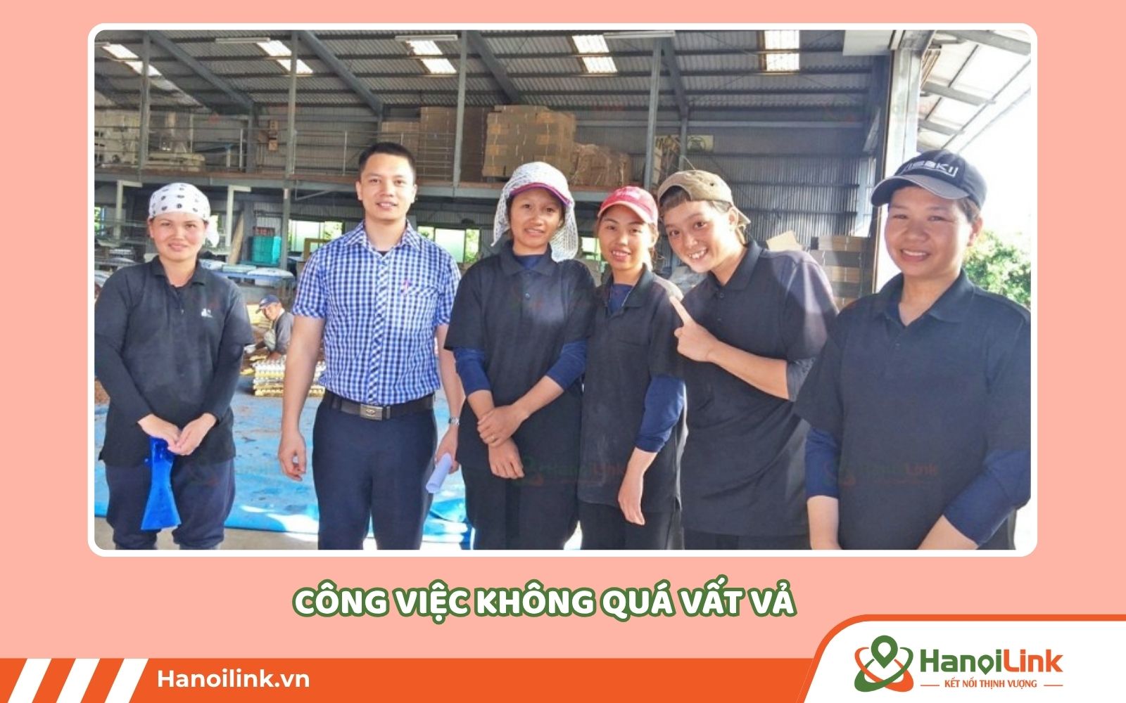 Công việc đơn hàng bò sữa Nhật Bản không vất vả, tất cả đều có máy móc