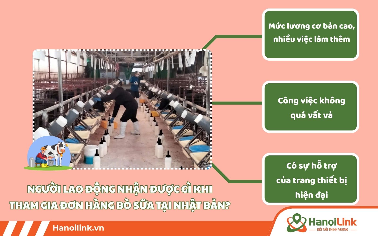 Các chăn nuôi bò sữa tại Nhật Bản có mức lương cao, nhiều việc làm thêm