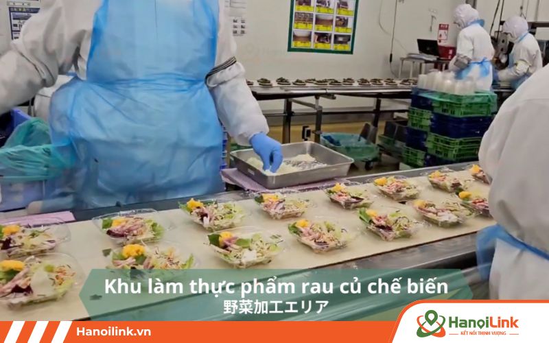 Bước 3 của đơn hàng cơm hộp Nhật Bản là đặt đồ ăn vào hộp